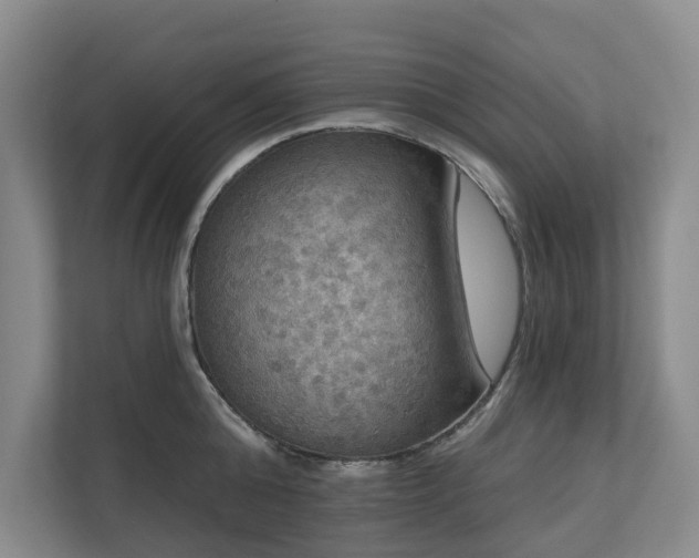 X0000111170808200907011348