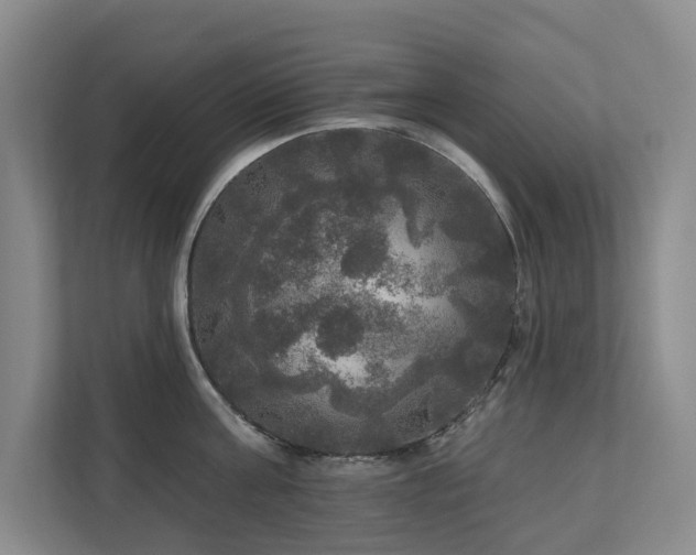 X0000111170811200907011348