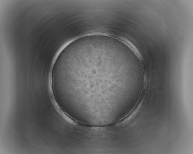 X0000111170812200907011348