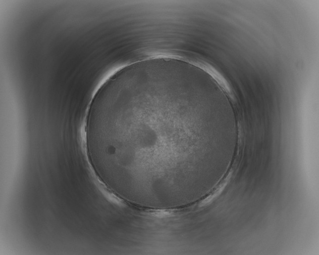 X0000111170814200907011348