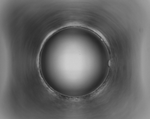 X0000111170815200907011348