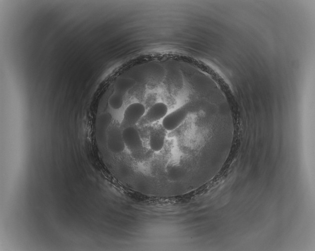 X0000111170823200907011347