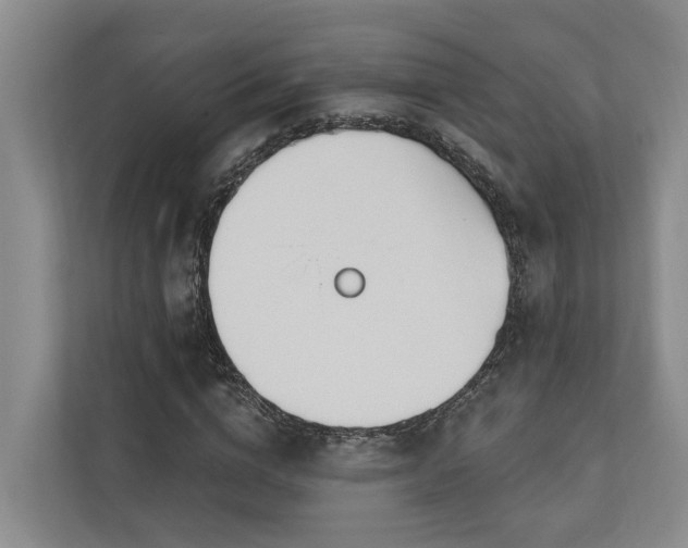 X0000111170824200907011347