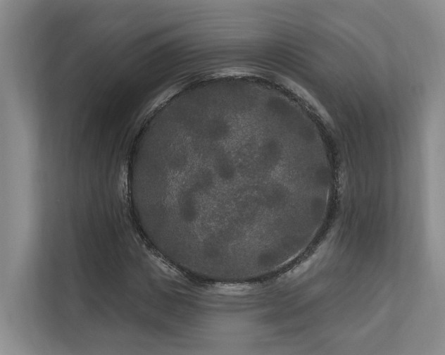 X0000111170825200907011347