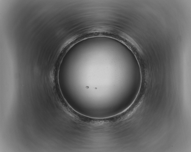 X0000111170826200907011347