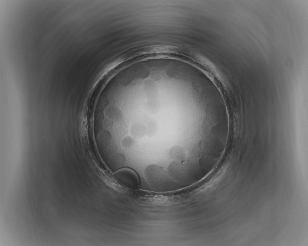 X0000111170827200907011348