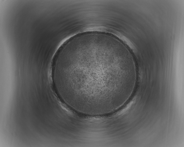 X0000111170830200907011348