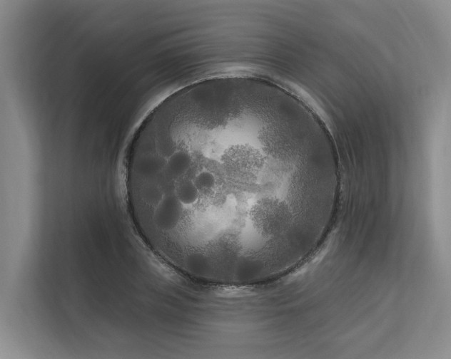 X0000111170835200907011348