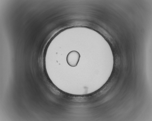 X0000111170836200907011348