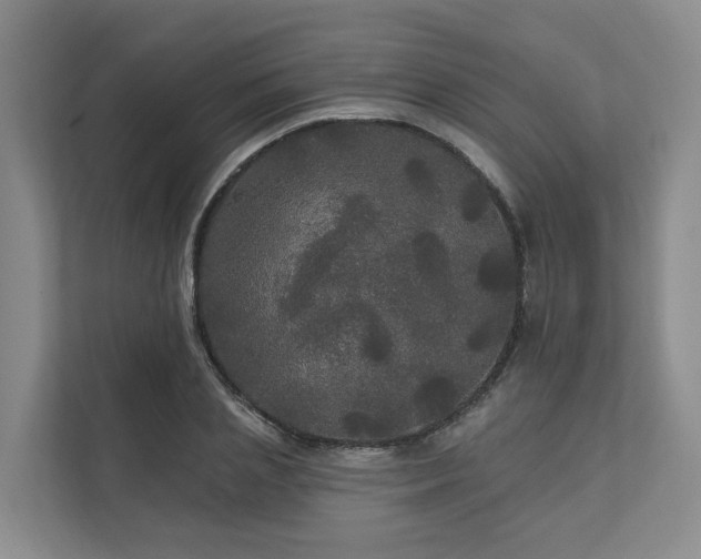 X0000111170837200907011348