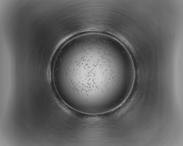 X0000111170838200907011348