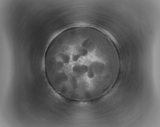 X0000111170839200907011348