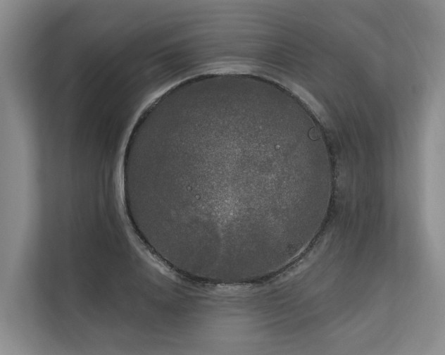 X0000111170840200907011348