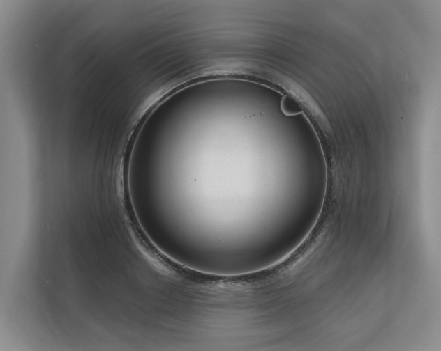 X0000111170842200907011348