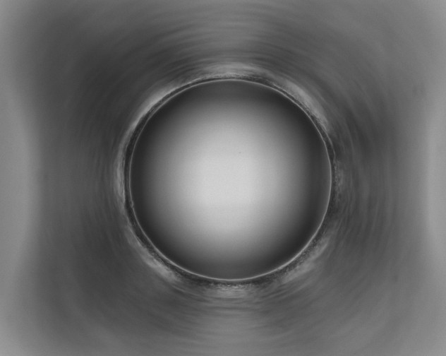 X0000111170843200907011348