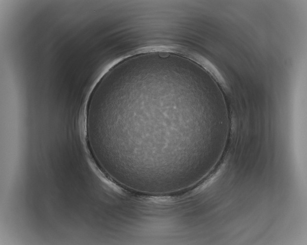 X0000111170844200907011348