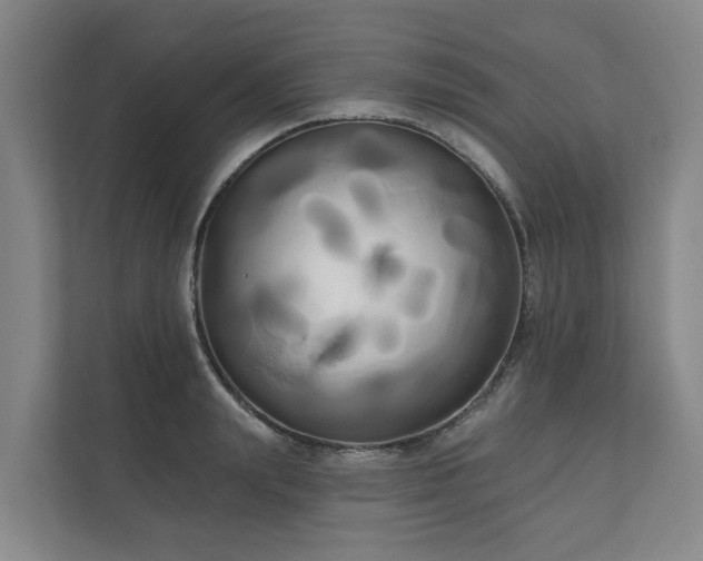 X0000111170847200907011348