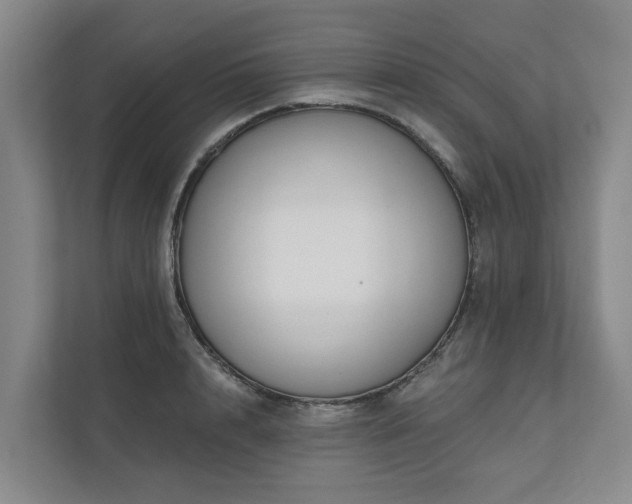 X0000111170848200907011348