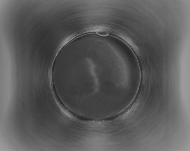 X0000111170850200907011348