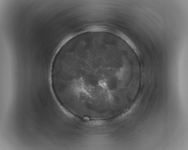 X0000111170853200907011348