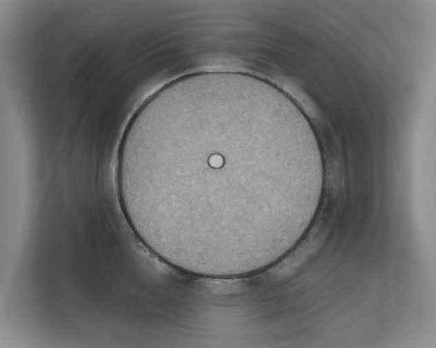 X0000111170856200907011348