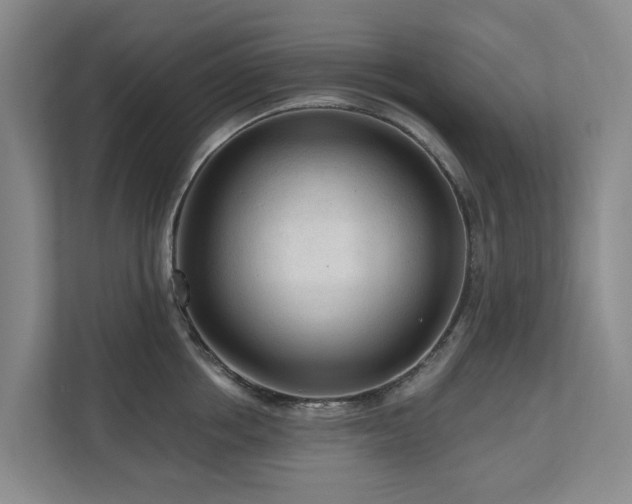 X0000111170858200907011348