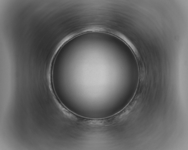 X0000111170861200907011348