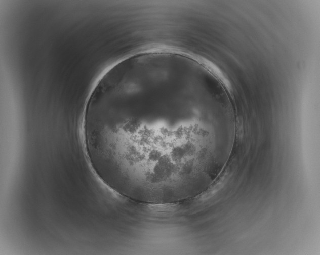 X0000111170863200907011348