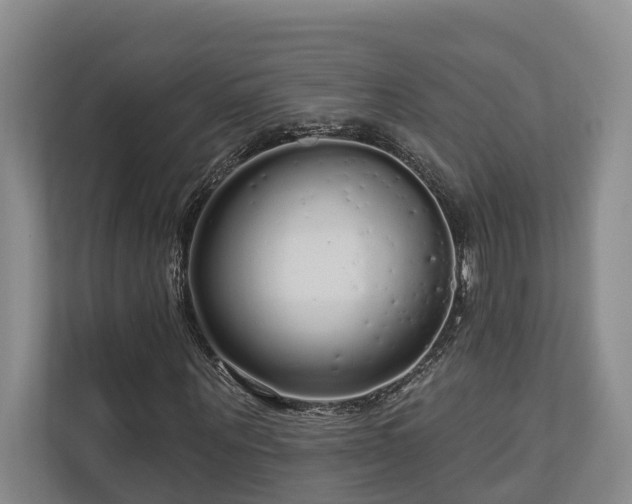 X0000111170867200907011347