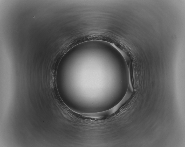 X0000111170868200907011347