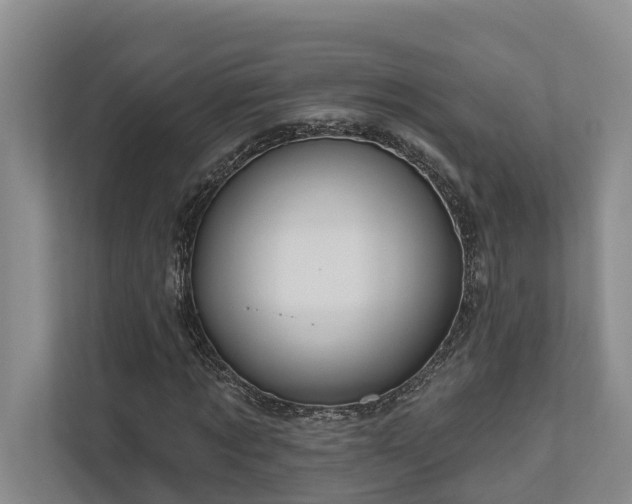 X0000111170869200907011347