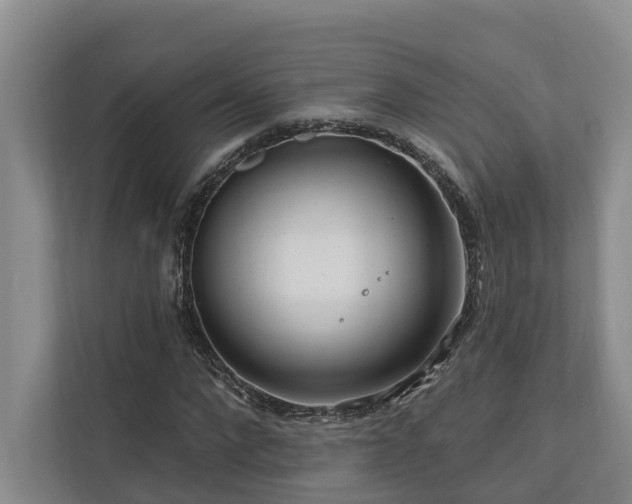 X0000111170872200907011347