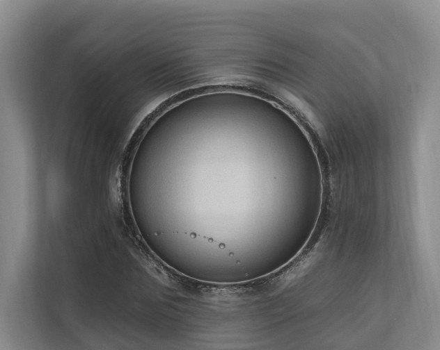 X0000111170875200907011347