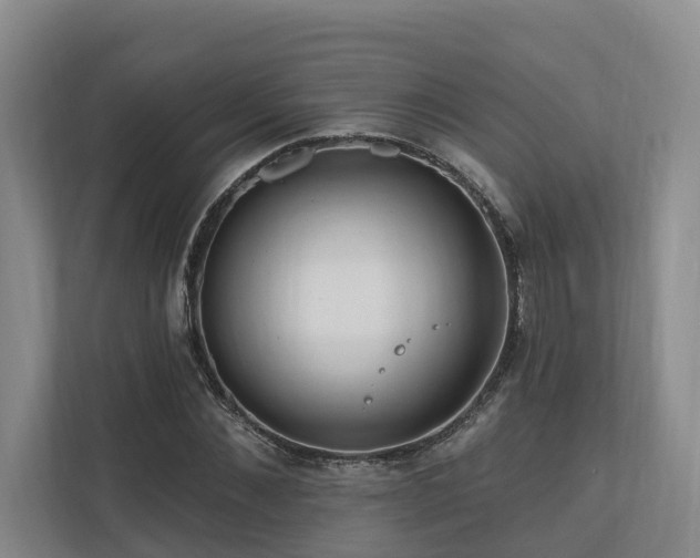 X0000111170876200907011347