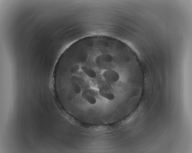 X0000111170879200907011347