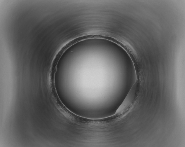 X0000111170880200907011347