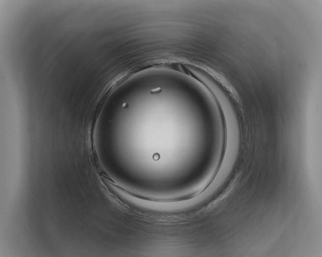 X0000111170889200907011347