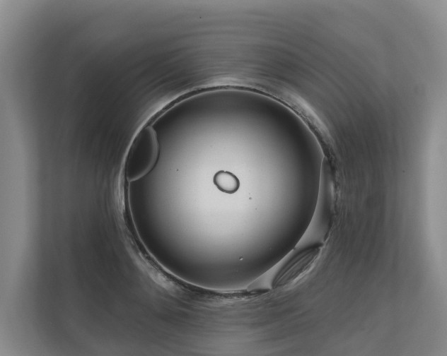 X0000111170892200907011347