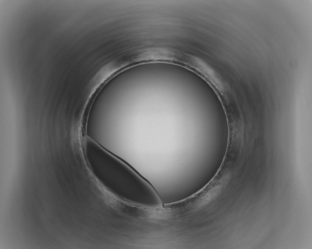 X0000111170893200907011347