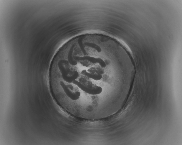 X0000111170895200907011347