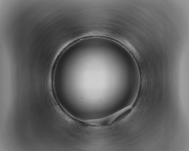 X0000111170896200907011347