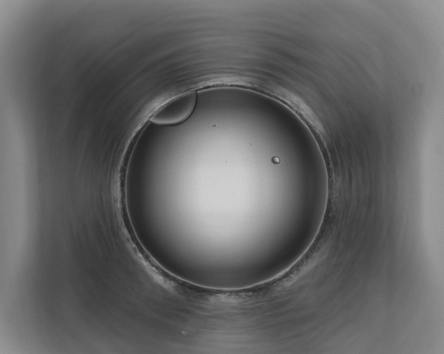 X0000111170898200907011347