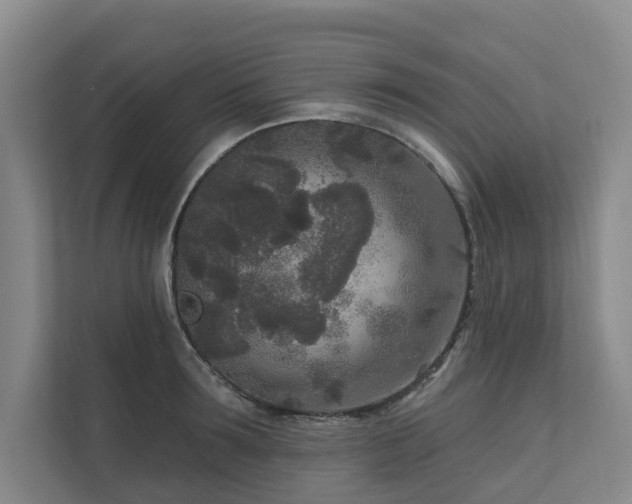 X0000111170899200907011347