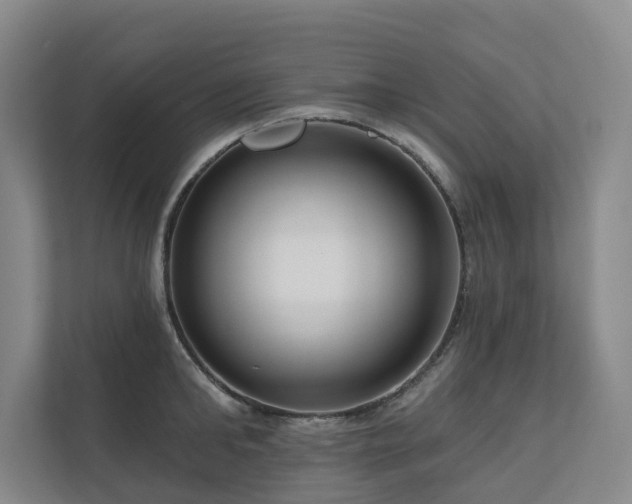 X0000111170902200907011347