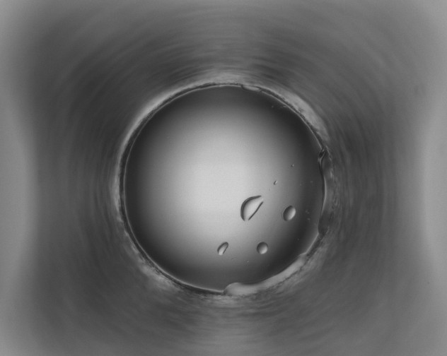 X0000111170904200907011347