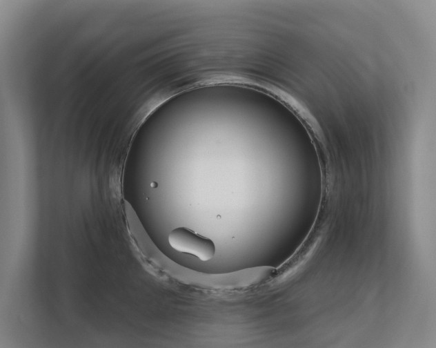 X0000111170905200907011347