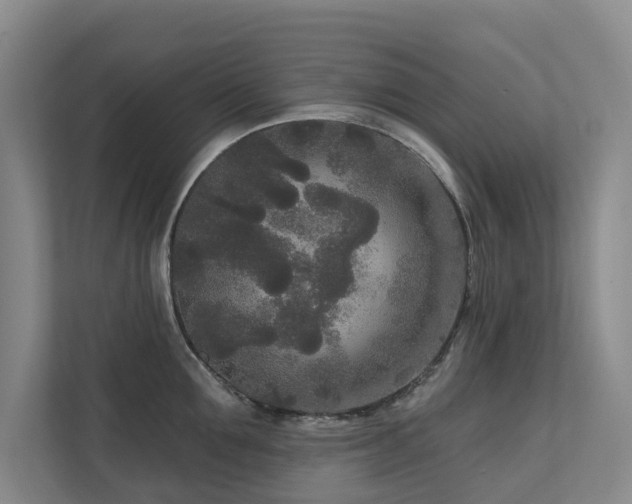 X0000111170907200907011347