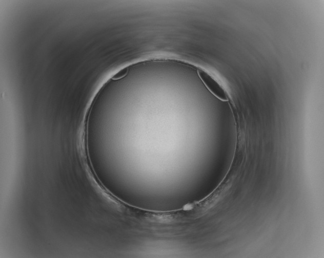 X0000111170911200907011347