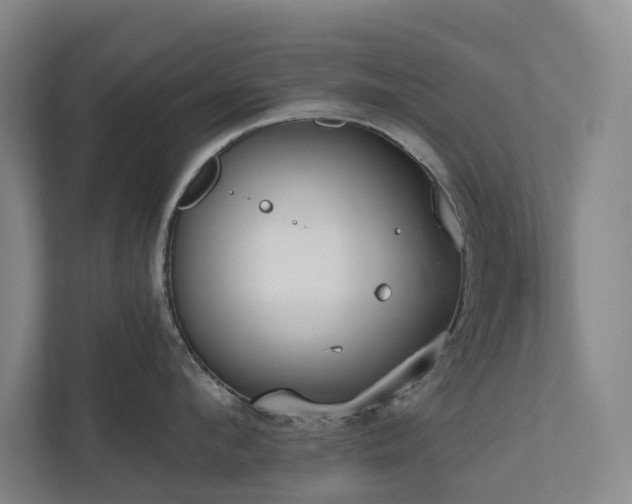 X0000111170912200907011347