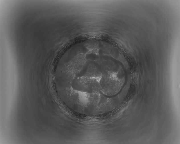 X0000111170913200907011346